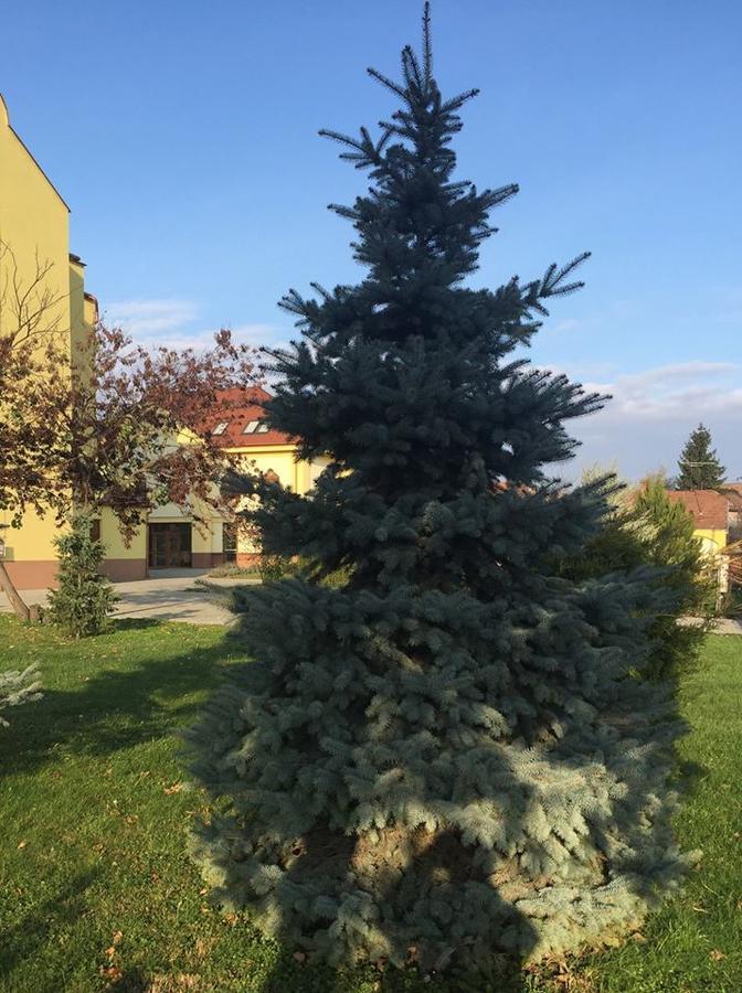 Mamre Szallo Hajduboszormeny Exterior foto